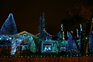 Blue Christmas light display