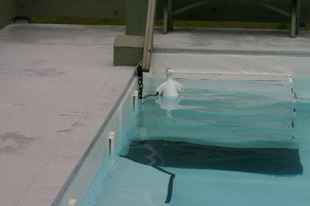 Canada_Road_Trip_11