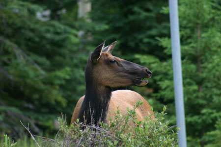 Canada_Road_Trip_15