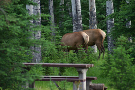 Canada_Road_Trip_16