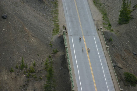 Canada_Road_Trip_21