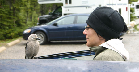 Canada_Road_Trip_24