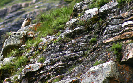 Canada_Road_Trip_36