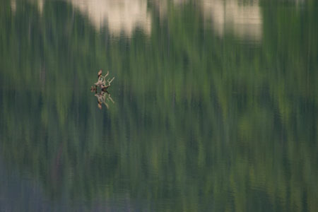 Canada_Road_Trip_72