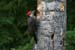Canada_Road_Trip_09