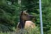 Canada_Road_Trip_15
