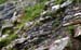 Canada_Road_Trip_36