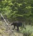 Canada_Road_Trip_55