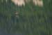 Canada_Road_Trip_72