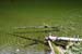 Canada_Road_Trip_73
