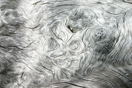 Penisula10
