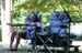Picnic05