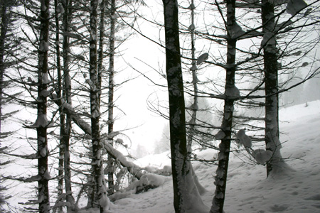 TheBigSnow03