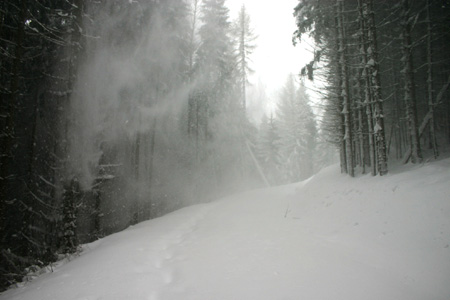 TheBigSnow10