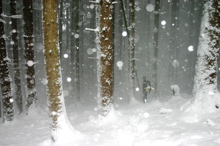 TheBigSnow12