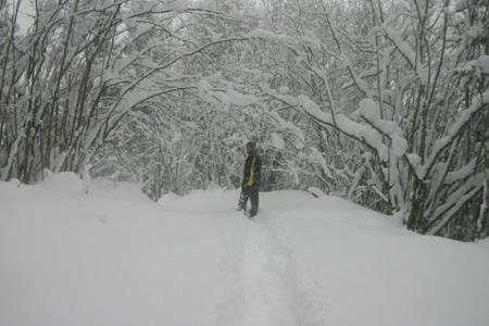 TheBigSnow14
