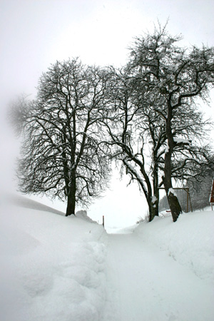 TheBigSnow23