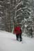 TheBigSnow04