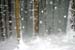 TheBigSnow12
