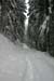 TheBigSnow20