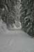 TheBigSnow22