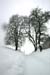 TheBigSnow23