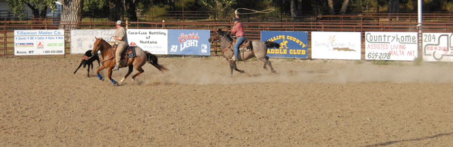 Rodeo Dust rodeo-grounds