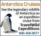 TravelWild Antarctica Cruise Experts