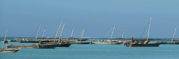 Zanzibar-Banner