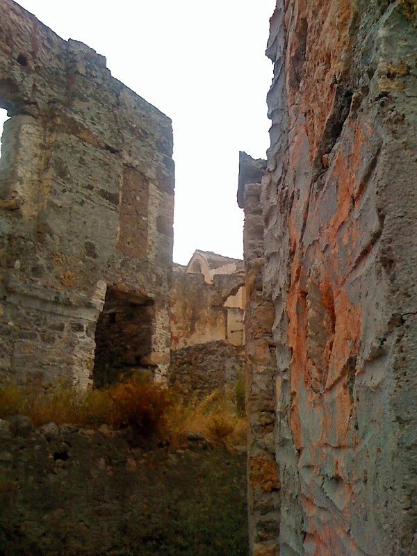 image(1)