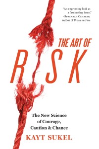 ART OF RISK Cover