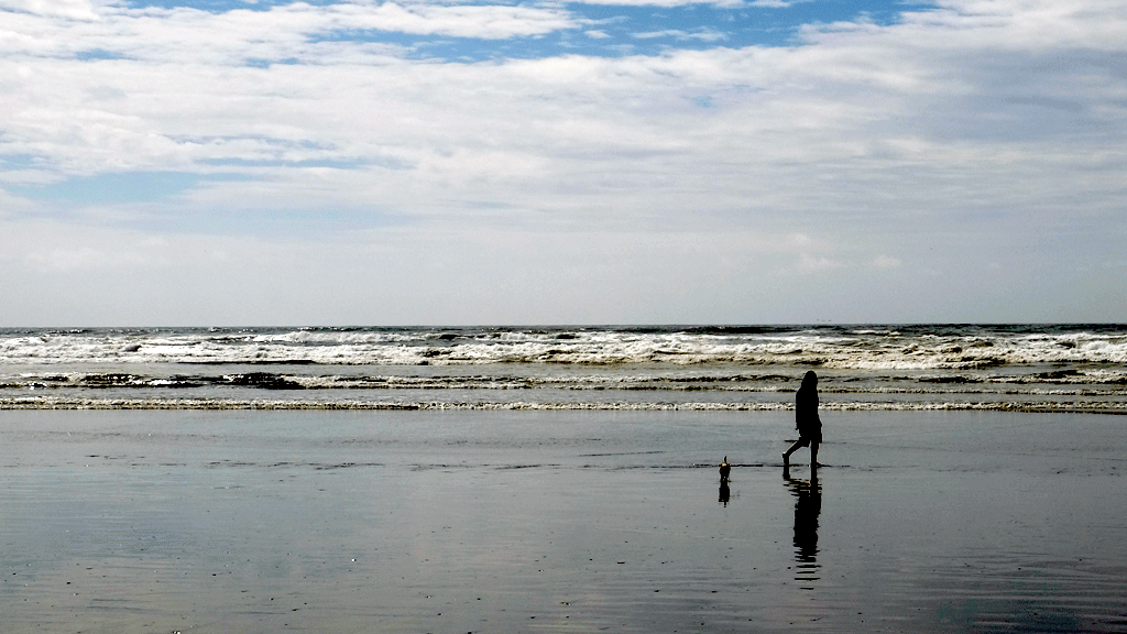 Harley gets his feet wet at Seabrook Beach