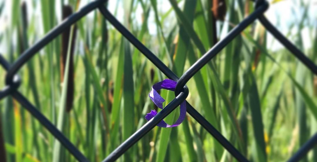 Ribbon tied the the fence outside Paisley Park